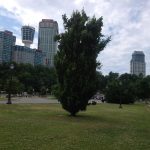 Tips To Selecting The Best Lawn Care Company