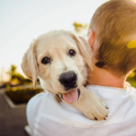 Best Pets for Kids at Every Age and Stage